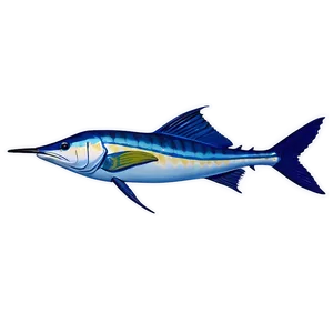 Sailfish Front View PNG Khh84 PNG