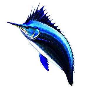 Sailfish In Ocean PNG 06262024