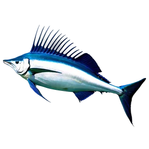 Sailfish In Water Png Uxj PNG image