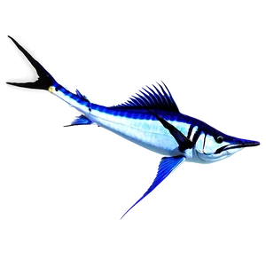 Sailfish Marine Life Png 06262024 PNG image