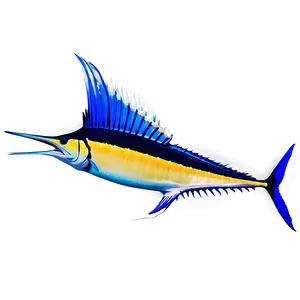 Sailfish Marine Life Png 92 PNG image