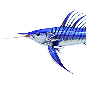 Sailfish Oceanic Journey Png 06262024 PNG image