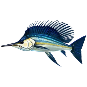 Sailfish Species Profile PNG Eto