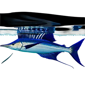 Sailfish Underwater Png 30 PNG image