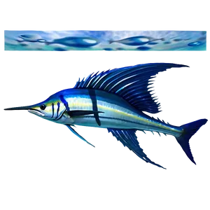 Sailfish Underwater Png 77 PNG image