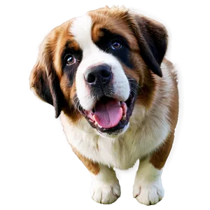 Saint Bernard A