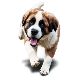 Saint Bernard Action Shot Png 06252024 PNG image