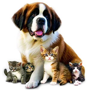 Saint Bernard And Kittens PNG 06252024