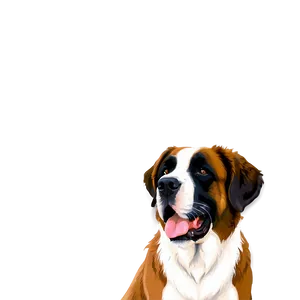 Saint Bernard C