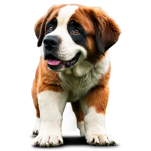 Saint Bernard Classic Stance Png Fqg9 PNG image