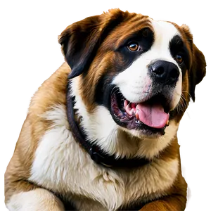 Saint Bernard Dog PNG Dux PNG