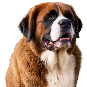 Saint Bernard Drool Face PNG Mqk PNG