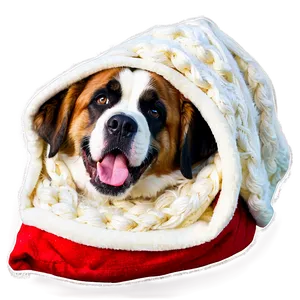 Saint Bernard In A Blanket Png 06252024 PNG image