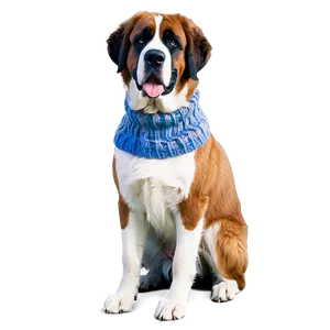 Saint Bernard In A Sweater PNG Yny