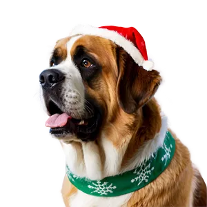 Saint Bernard In Festive Gear PNG 71 PNG