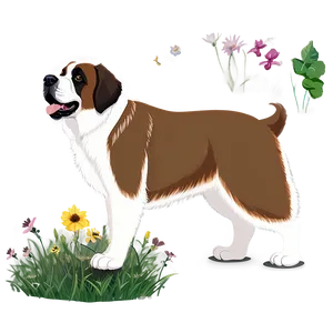 Saint Bernard In Summer PNG 06252024
