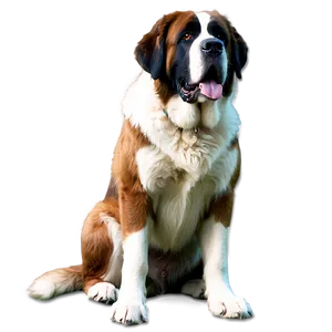 Saint Bernard On Guard PNG 06252024