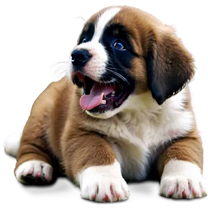 Saint Bernard Puppy Yawn Png 06252024 PNG image