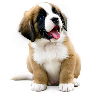 Saint Bernard Puppy Yawn PNG Bpt4 PNG