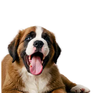 Saint Bernard Puppy Yawn PNG Wtw9 PNG