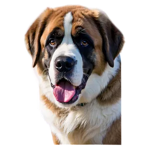 Saint Bernard Winter Wonderland PNG Nck PNG