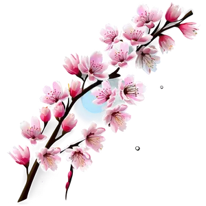 Sakura Blossom Festival PNG 06202024 PNG