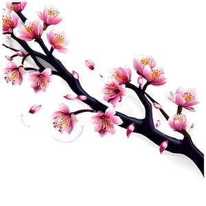 Sakura Blossom Festival PNG Mij66 PNG