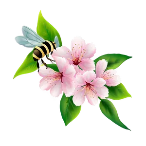 Sakura Blossom With Bee PNG Bou72 PNG