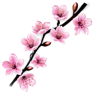 Sakura Cherry Blossom Icon PNG Svw33