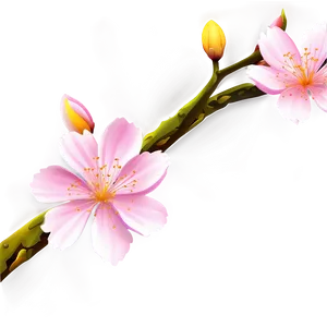 Sakura Flower Border PNG Daw28 PNG