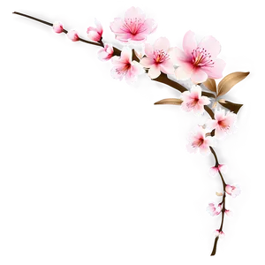 Sakura Flower Border PNG Hii47 PNG