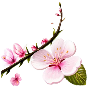 Sakura Flower Clipart PNG 06202024