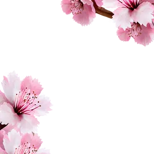 Sakura Flower Frame PNG 06202024