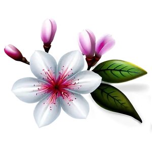 Sakura Flower Icon PNG 33 PNG