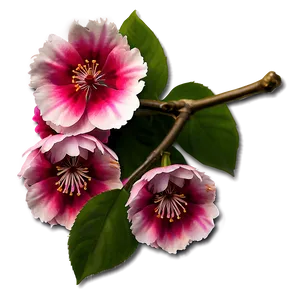Sakura Flower Icon PNG Ujc33 PNG