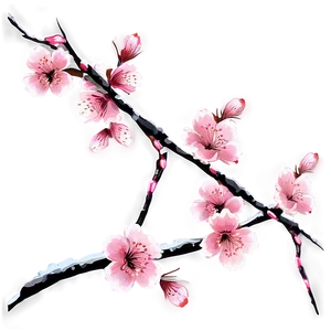 Sakura Flower Night Scene PNG 06202024 PNG