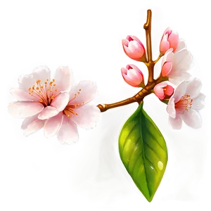 Sakura Flower Sketch PNG 06202024