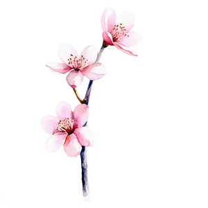 Sakura Flower Watercolor Painting PNG 60 PNG