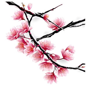 Sakura Tree Branch Close-up PNG 82 PNG