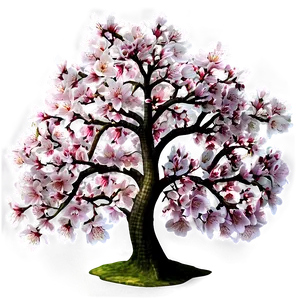 Sakura Tree C