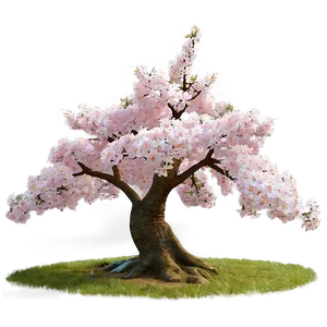 Sakura Tree In Early Spring Png 06122024 PNG image