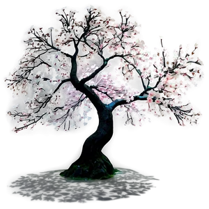 Sakura Tree In Full Moon Png 06122024 PNG image