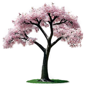 Sakura Tree In Park Setting Png 74 PNG image