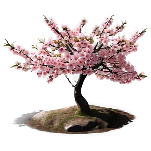 Sakura Tree In Urban Setting PNG 06122024