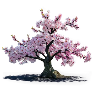 Sakura Tree In Vibrant Colors Png Gum PNG image