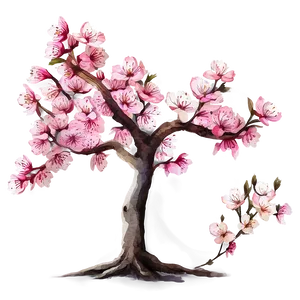 Sakura Tree In Watercolor Style PNG Yev24 PNG
