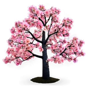 Sakura Tree With Sun Flare Png 06122024 PNG image