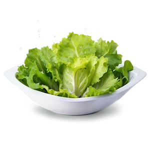 Salad Bowl Lettuce Png 10 PNG image