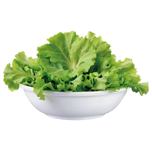 Salad Bowl Lettuce Png 44 PNG image