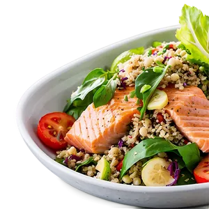 Salmon And Quinoa Salad Png 11 PNG image